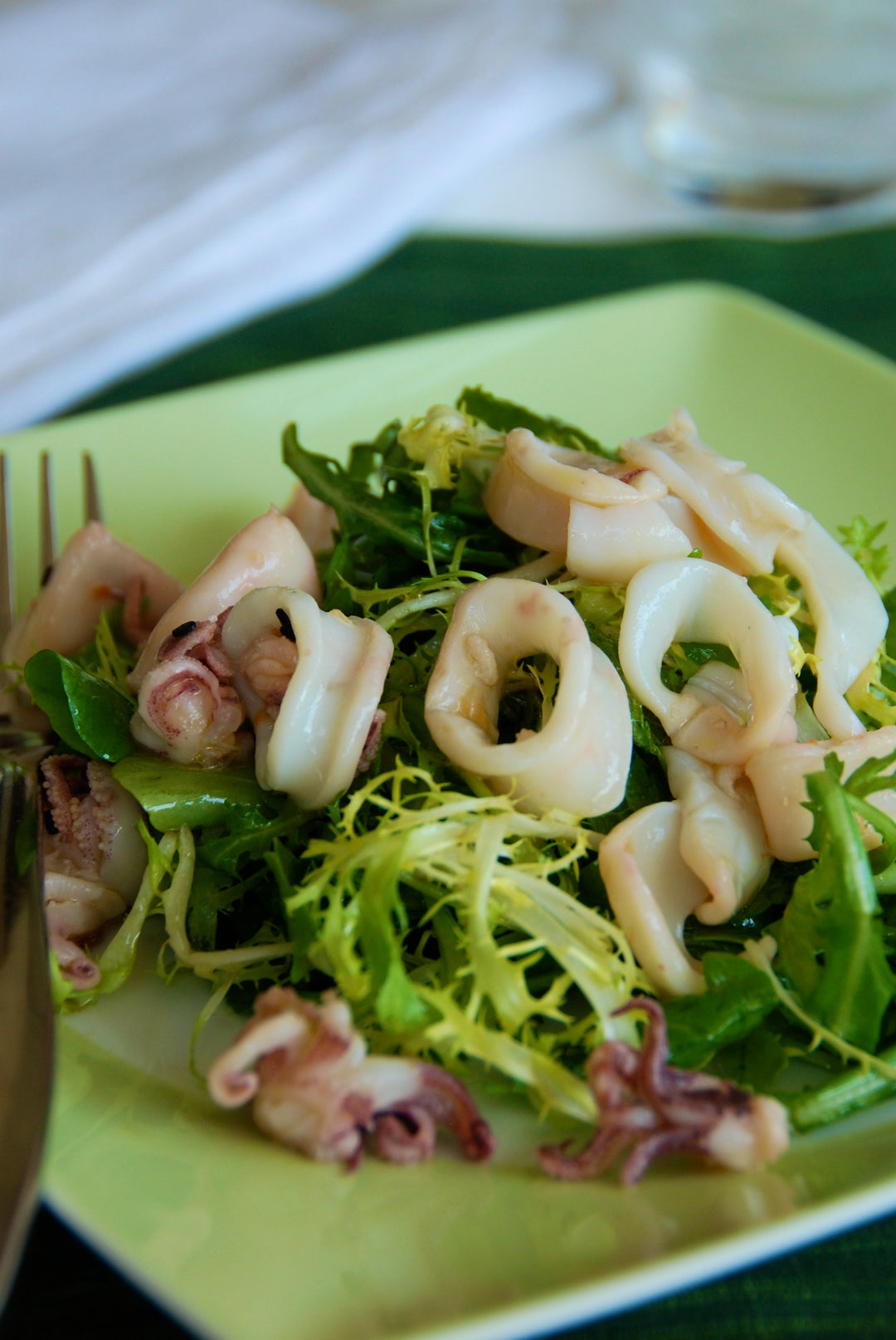 Seared Calamari and Herb Salad