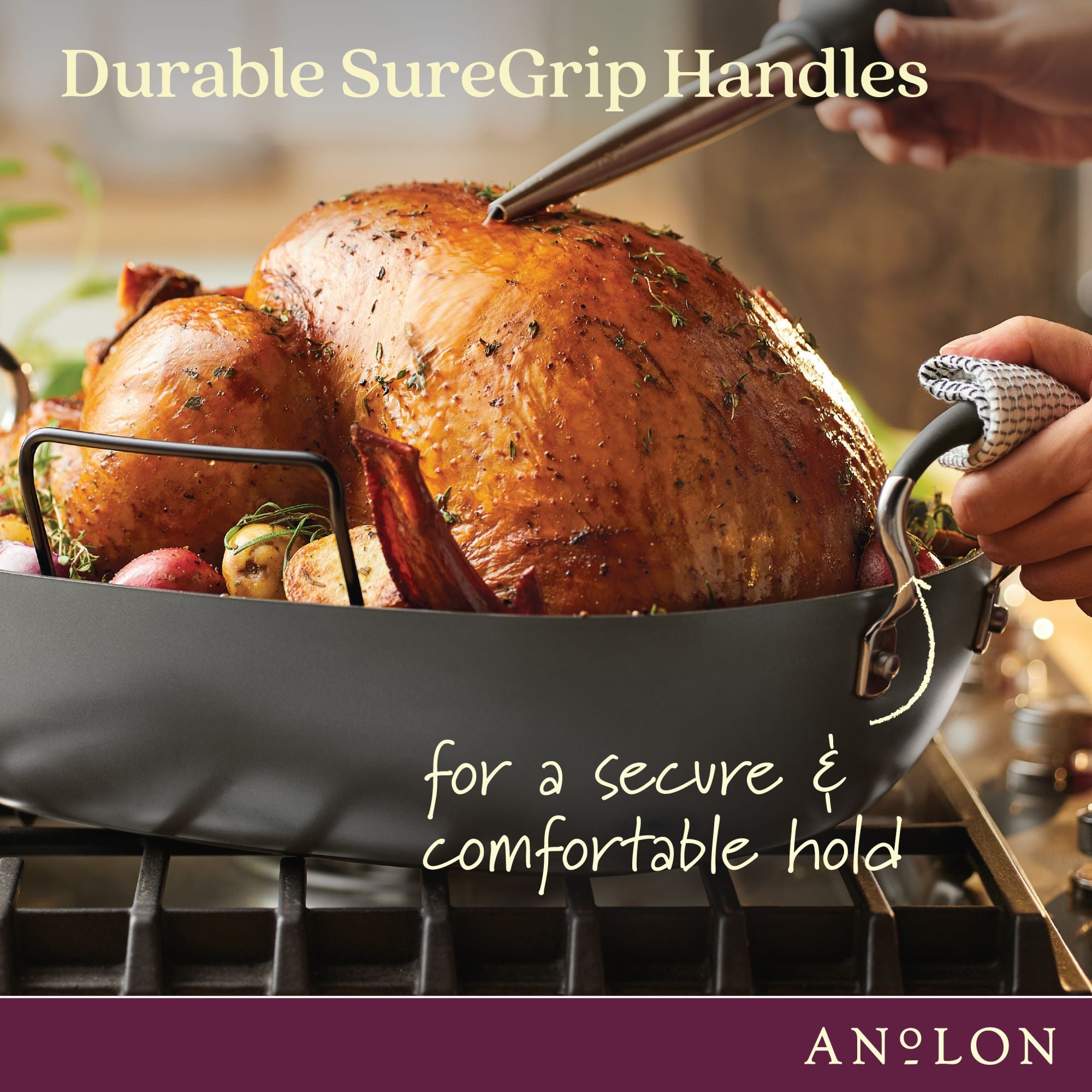 Advanced Hard-Anodized Nonstick Roaster with Rack - Thumbnail 3