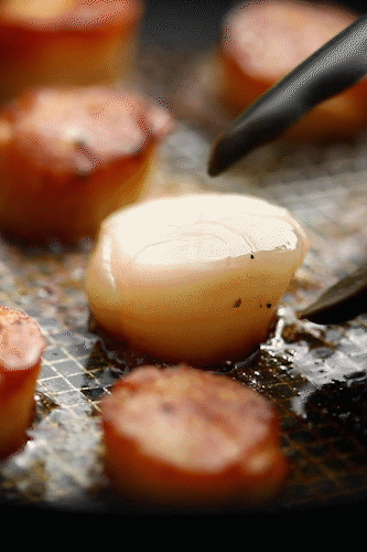 A close-up, looping GIF showing a chef using black kitchen tongs to flip a large sea scallop in an Anolon X frying pan. The scallop features a perfect golden-brown sear, highlighting the effective heat distribution of the SearTech™ stainless steel mesh grid visible on the cooking surface.