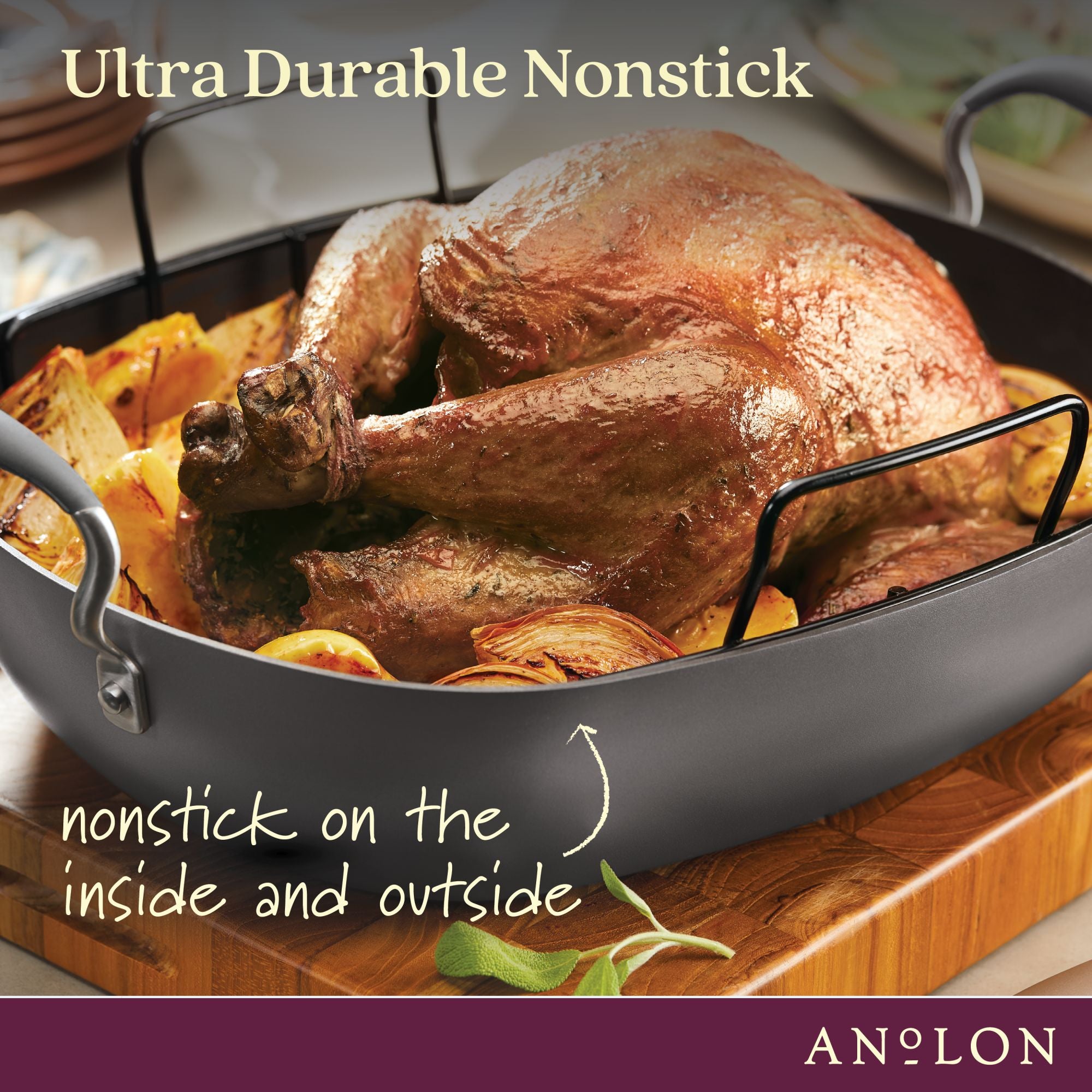 Advanced Hard-Anodized Nonstick Roaster with Rack - Thumbnail 5