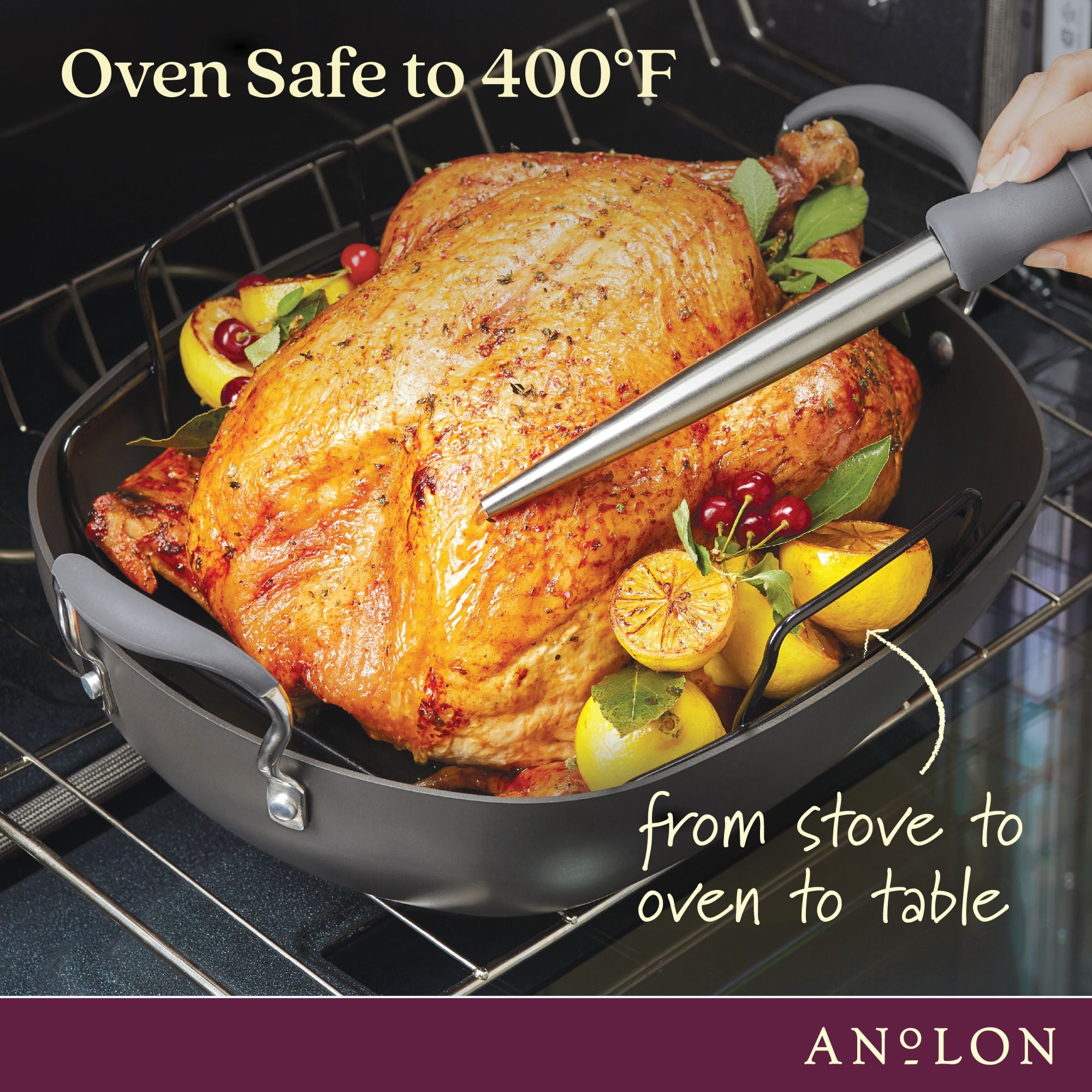 Advanced Hard-Anodized Nonstick Roaster with Rack